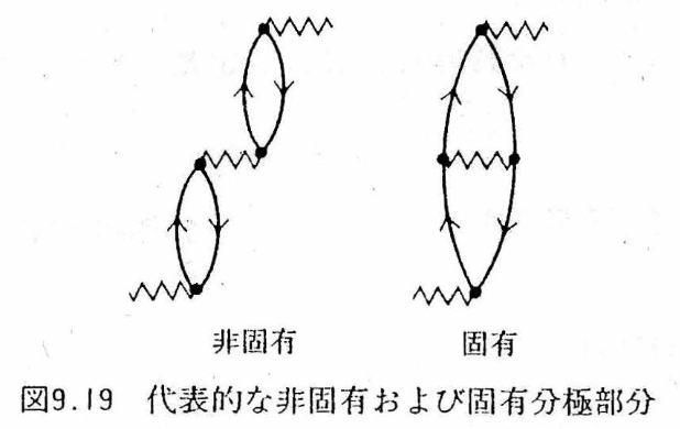 非固有および固有分極部分